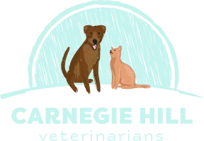 Carnegie Hill Veterinarians