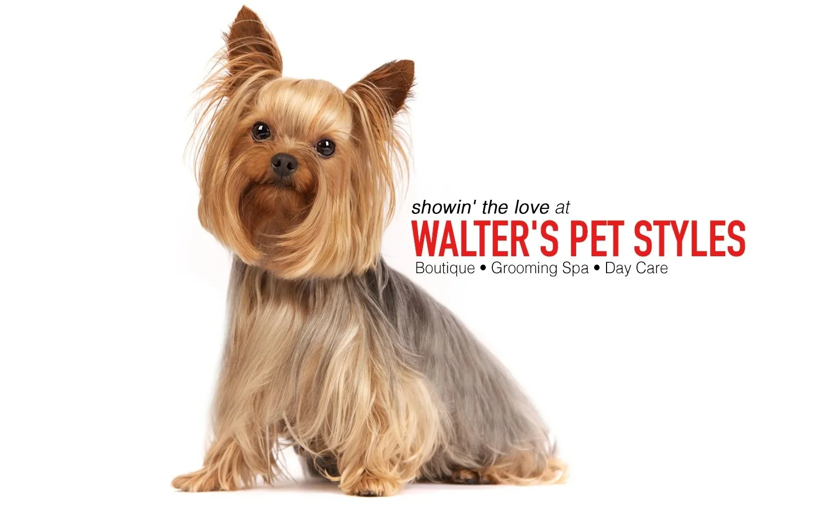 Walter's Pet Styles