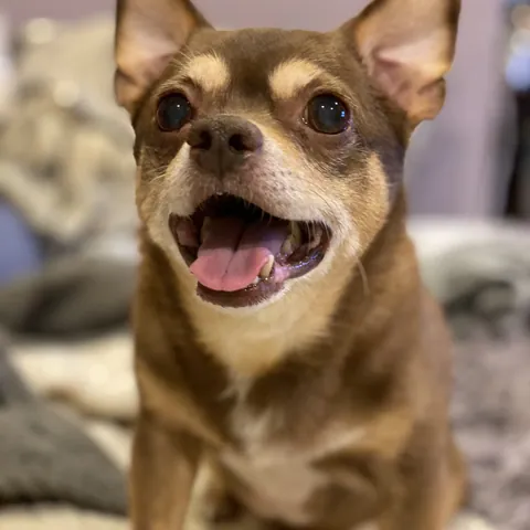 Milo