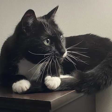 Seamus